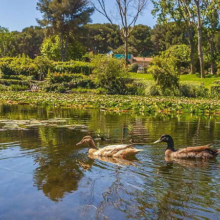 Apartamento Les Rivages De Coudouliere-27 By Interhome *