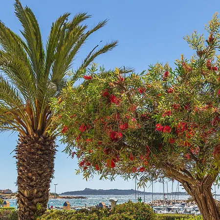 Les Rivages De Coudouliere-27 By Interhome Apartment *