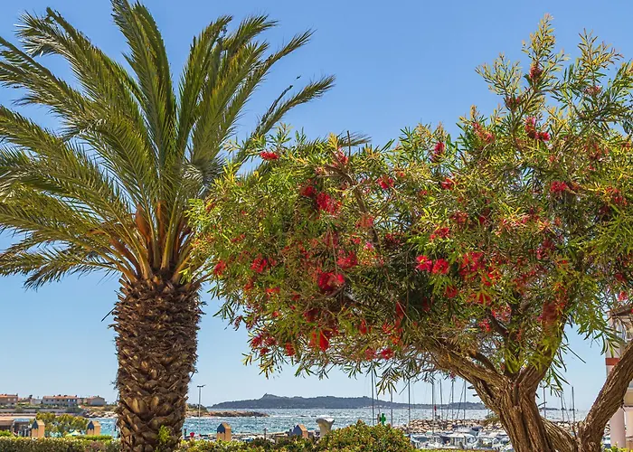 Les Rivages De Coudouliere-27 By Interhome Apartment *